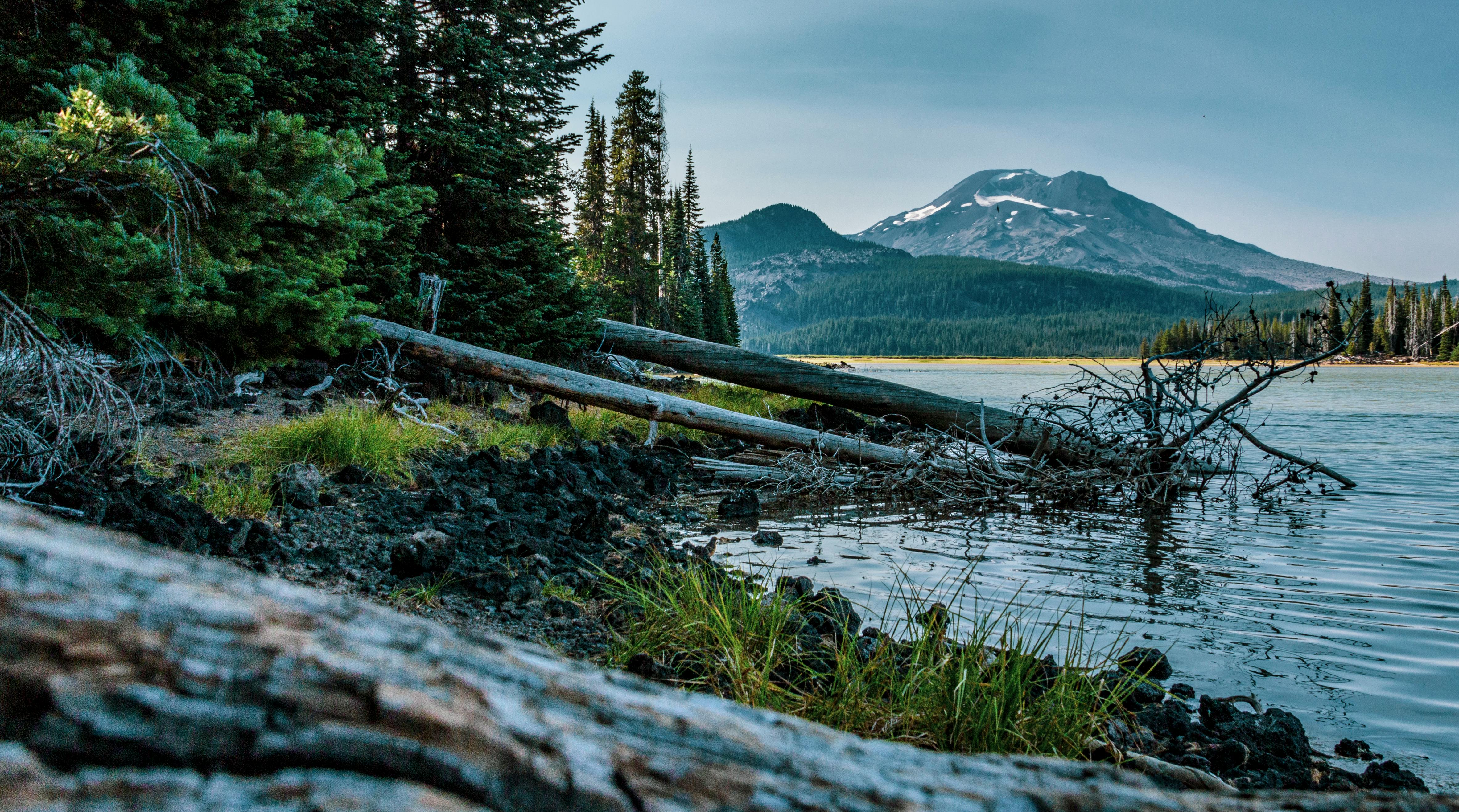 Peaceful mountain lake surrounded by lush pine forest and distant peaks under a clear sky in Oregon.